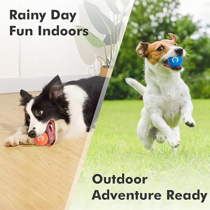 Interactive Dog Toy Ball for Indoor, Automatically Moving, Bouncing Ball Toy, USB-C Rechargeable (Blue+Orange)