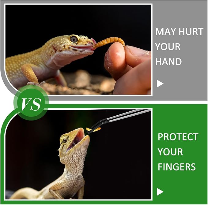 Lasnten 2 Pcs Crested Gecko Tank Accessories Stainless Steel Reptile Feeding Tong with Rubber Tip and Feeding Spoon Bearded Dragon Snake Aquarium Curved Tweezer Terrarium Feeder Tool for Tank