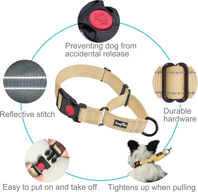 haapaw 2 Packs Martingale Dog Collar with Quick Release Buckle Reflective Dog Training Collars for Small Medium Large Dogs