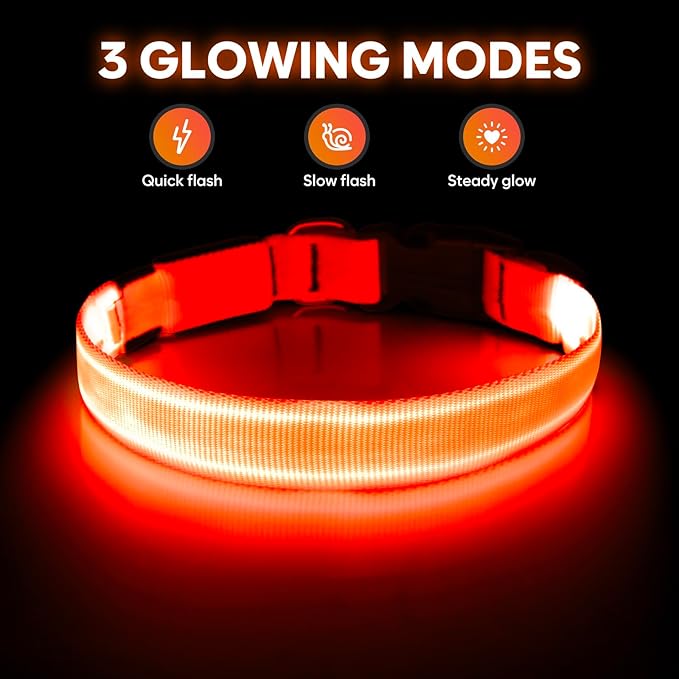Illumifun Light Up Collar for Dogs, USB Rechargeable LED Dog Collar, Adjustable Safety Collar Light for Walking at Night (Orange, Large)