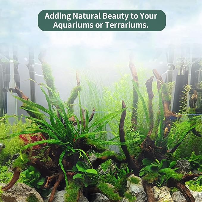 Hamiledyi 12Pcs Small Driftwood for Aquarium 4.1"-7.2" Driftwood Branches Aquarium Wood Decoration Natural Fish Tank Habitat Decor Wood for Lizard Assorted Size