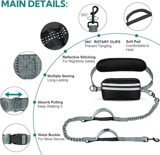 Hands Free Dog Leash with Pouch, Double Leash for Two Dogs, Retractable Bungee with Double Padded Handles, Dog Waist for Dog Walking, Running for Dogs, Dog Walking Accessories