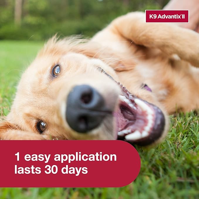 K9 Advantix II Large Dog Vet-Recommended Flea, Tick & Mosquito Treatment & Prevention | Dogs 21-55 lbs. | 6-Mo Supply (Pack of 2)
