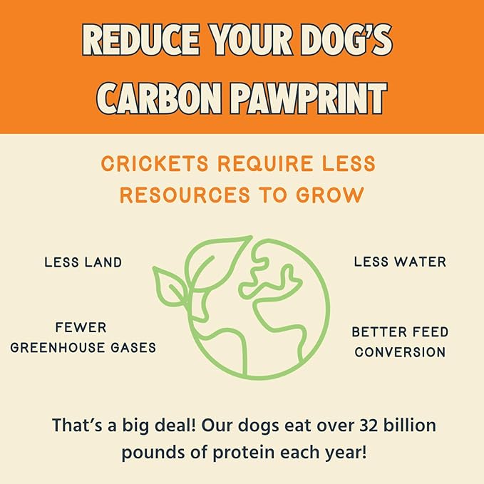 Jiminy's Chewy Cricket Training Treats for Dogs, Low Calorie, Hypoallergenic, Made in USA, 6oz, Pumpkin & Carrot (Pack of 1)