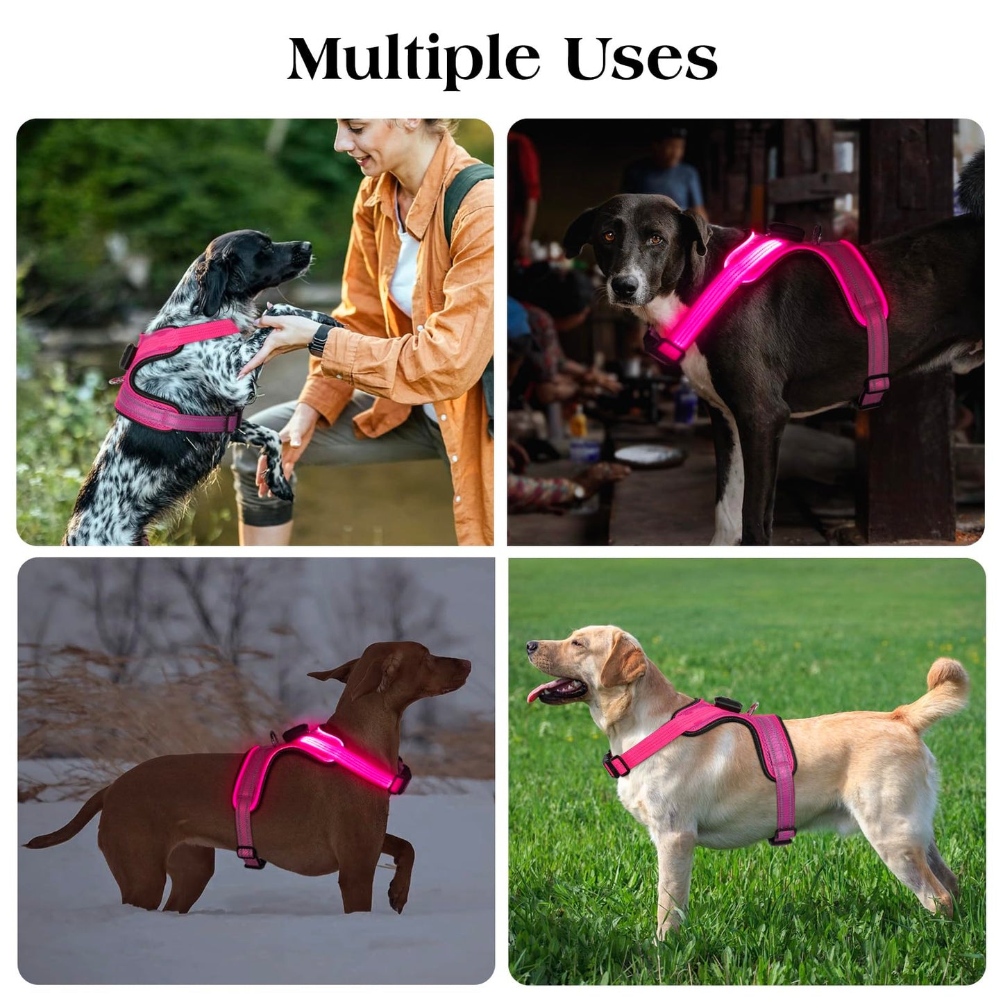 Light Up Dog Harness, Rechargeable LED Dog Harness with Battery Level Indicator, Adjustable Reflective Safety Vest for Night Walking, Soft Mesh Lighted Harness for Medium Large Dogs(5-90lbs)