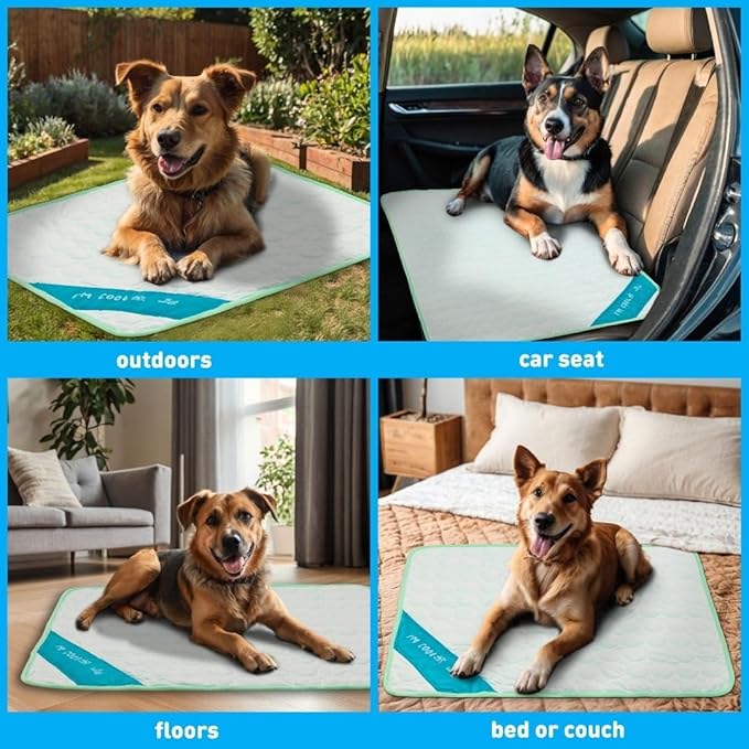 INSPECTOR TAIL 3D ChillPocket Cooling Mat for Dog + String Bag Pack/Air-Cells for Better Airflow/Washable & Portable Pet Soft Pad for Indoor or Outdoor Blanket for Kennel Sofa Bed Floor Car