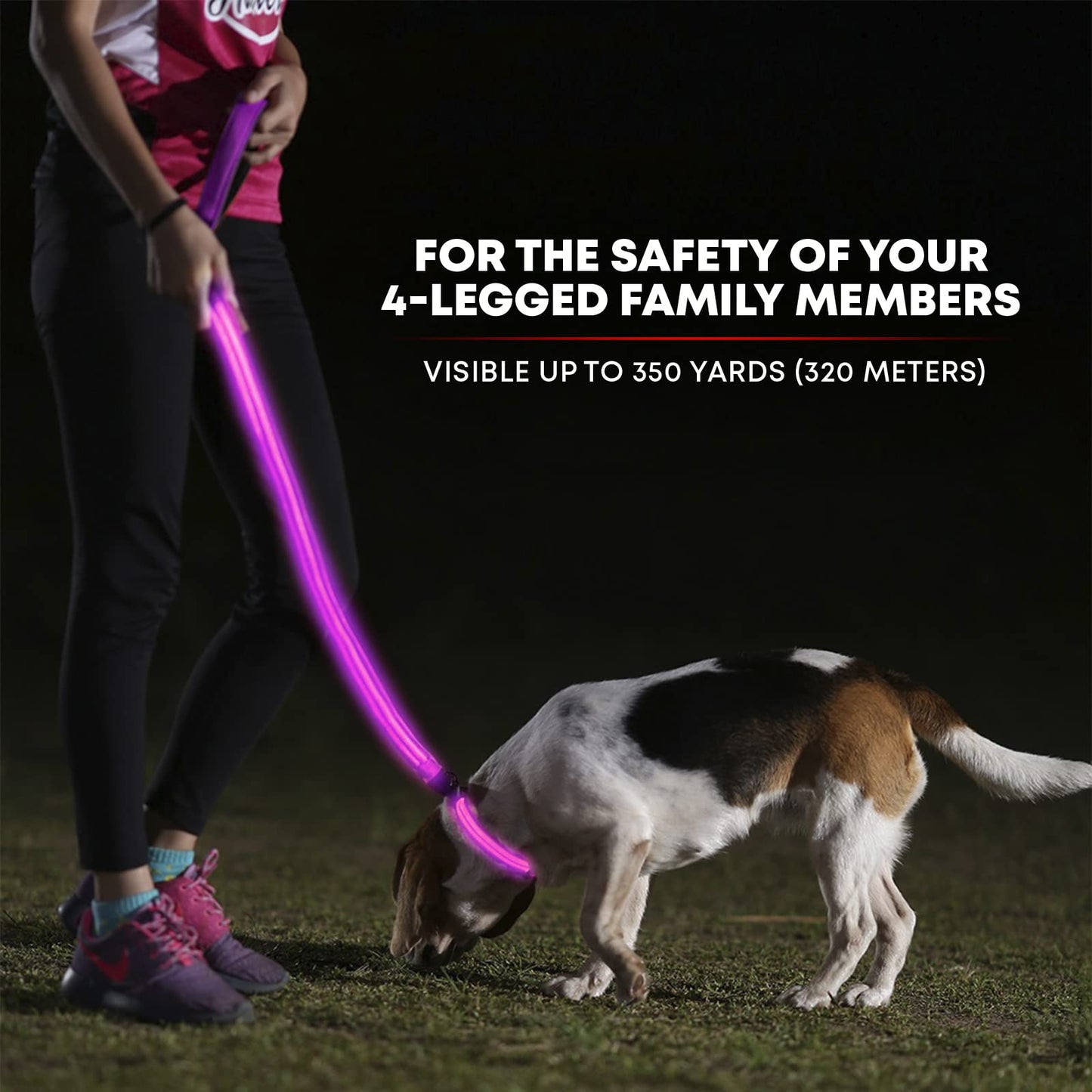 Illumiseen LED Light Up Dog Leash | Ultra High Visibility Up to 350 Yards | 3 Lighting Modes | USB Rechargeable, No Batteries Needed | Padded Handle & Rotating Swivel Clasp to Prevent Leash Tangling
