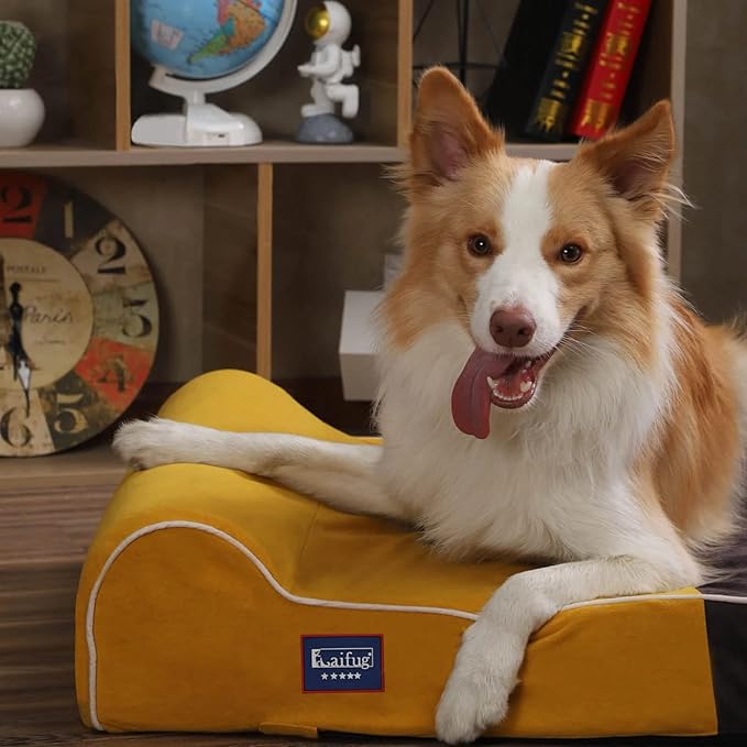 Laifug Orthopedic Memory Foam Dog Bed with Pillow and Durable Water Proof Liner & Removable Washable Cover & Smart Design Medium (34"x22"x7"), Slate Grey