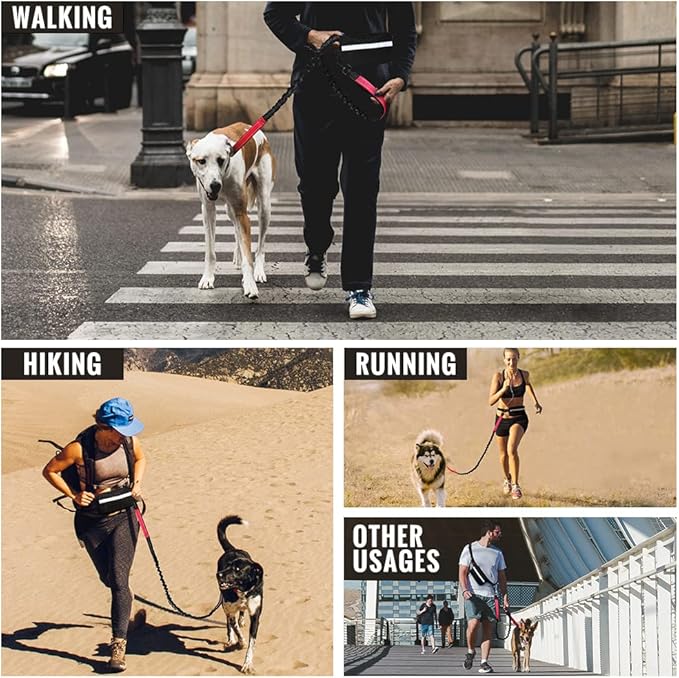 Plutus Pet Hands Free Dog Leash, Soft Padded Dual Handle Retractable Bungee Leash with Reflective Stitches, Adjustable Wasit Leash for Dog Walking Running Jogging, for Medium Large Dogs