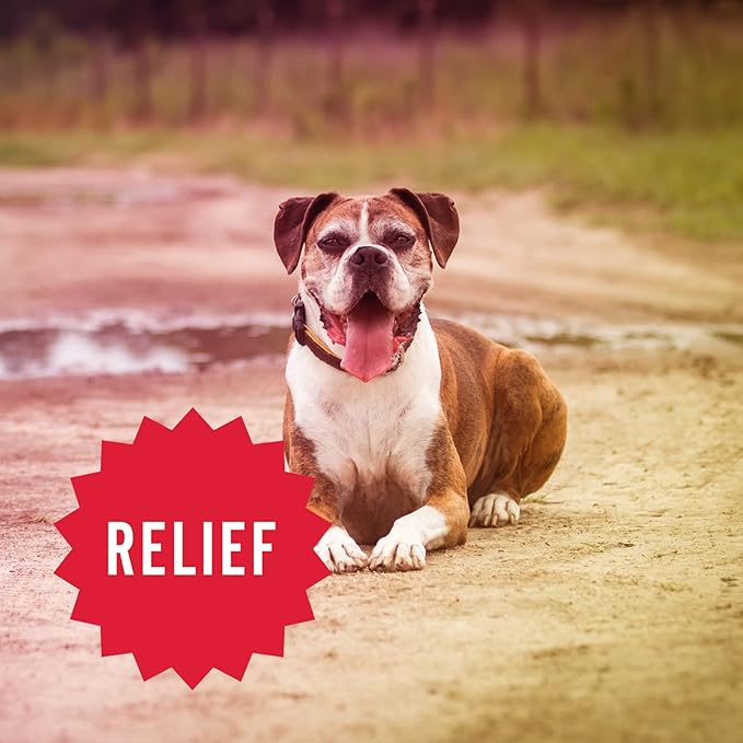 Hemp Well Relief Dog Soft Chews – Organic Hemp Soft Chews for Hip and Joint Health, Long Lasting Mobility Support (1 Pack)