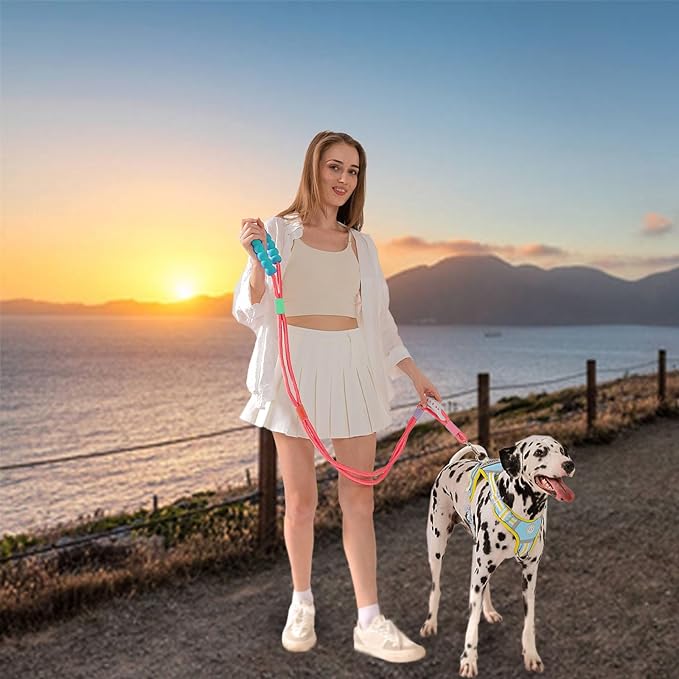 JSXD Dog Leash,5 FT Heavy Duty Dog Training Leash,Double Handle Comfortable Padded Hands Free Dog Leash,Adjustable Crossbody Waist Leash for Small Medium Large Dogs(Red)