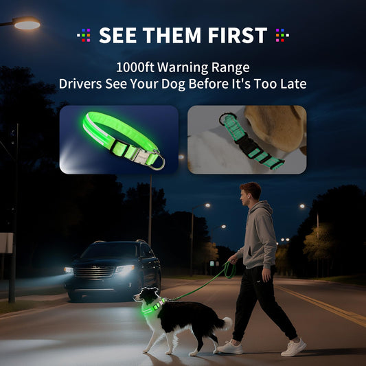 LED Dog Collar with Metal Buckle - USB Rechargeable Glow Collar for Dogs, Waterproof Light Up Dog Collar w/Reflective Strips - Adjustable Night Safety Collars by PetIsay(Green,Large)