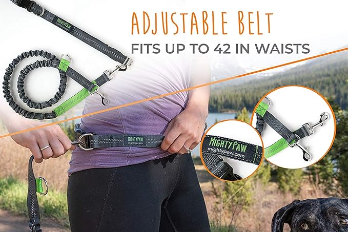 Mighty Paw Hands Free Dog Leash | Bungee Waist Leash for Dog Walking. Pet Running Hands Free Tether for Large, Medium & Small Breeds. Pet Waist Belt (36" - 48") Up to 150 lbs - Gray