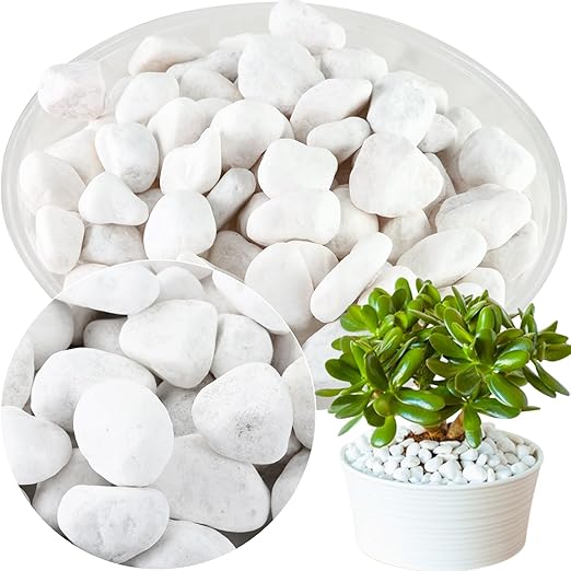 11Lbs Natural River Rocks for Plants 1''-2'' Large Landscaping Garden Stones White Aquarium Gravel for Decorative Pebbles for Indoor Outdoor Planters, Big Terrarium Rocks in Bulk, Home Decor