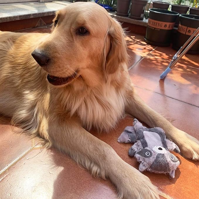 Jalousie 5 Pack Plush Toys Assortment Value Bundle Puppy Pet Mutt Squeak Toy for Medium Large Dogs (5 Pack Premium Corduroy) (1 Pack Large Plush)