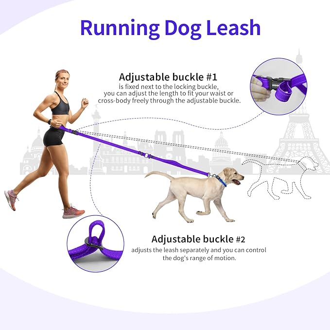 Hands-Free Dog Leash with Adjustable Length 6-9FT + Dual Padded Handles Reflective Safety for Walking, Jogging & Training | Suitable for Medium to Large Dogs & Puppies Purple-L