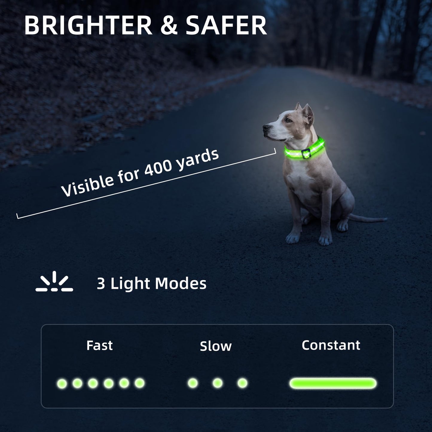 Super Bright LED Dog Collar - Fully Waterproof & Adjustable Glow Collar - USB-C Rechargeable for Night Walking, Safety - Flashing Lighted Collar for Dogs(Green,Medium)