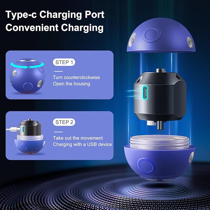 Interactive Dog Ball Toys, Automatic Moving Motorized Rolling Dog Balls, Automatic Bouncing Pet Toy Balls, USB Rechargeable Sporty Rolling Toys, Play Balls for Dogs to Play with(Blue)