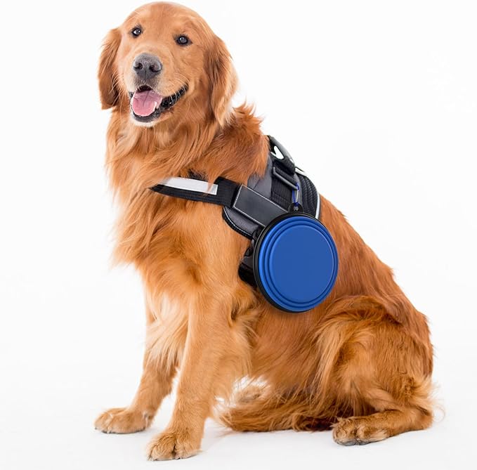 2 Pack Collapsible Dog Bowl Travel Portable Pet Bowls [34oz,1000ml],Expandable Foldable Food Water Feeding Dishes for Traveling Hiking Walking,with Carabiners [Black,Blue]