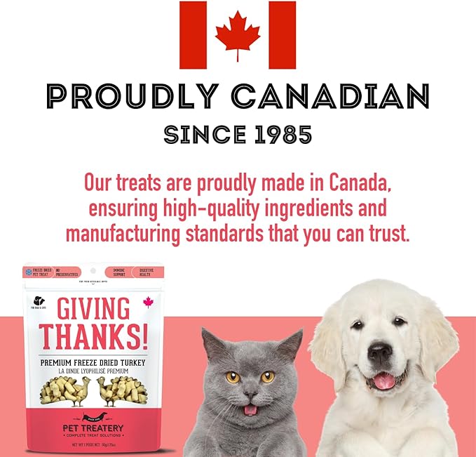 Freeze Dried Turkey Treats for Dogs & Cats (1.76 oz, Pack of 1) - Single Ingredient Flash Frozen to Maintain Nutrients Vitamins and Healthy Oils Made in Canada
