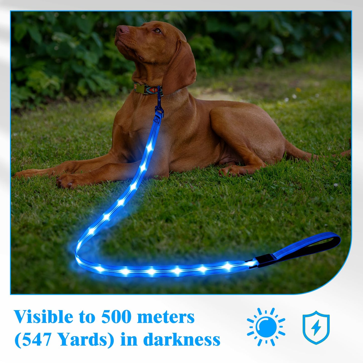 Light Up Dog Leash, 5 Ft LED Dog Lead Rechargeable Glowing Pet Leash with Soft Padded Handle, Safety Dog Lights for Night Walking (Blue)