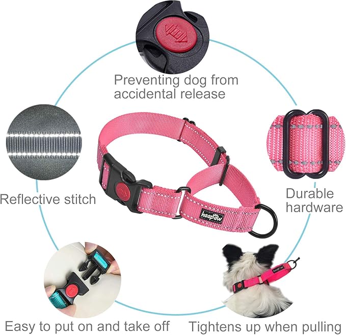 haapaw 2 Packs Martingale Dog Collar with Quick Release Buckle Reflective Dog Training Collars for Small Medium Large Dogs