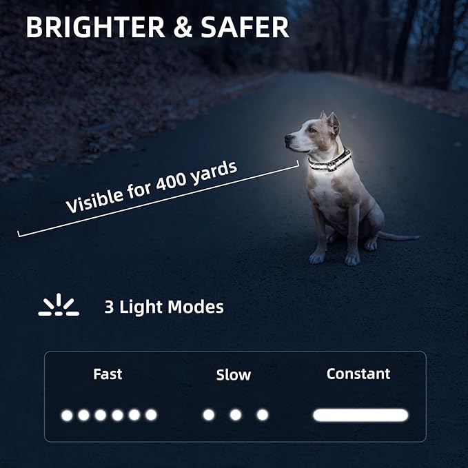 Super Bright LED Dog Collar - Fully Waterproof & Adjustable Glow Collar - USB-C Rechargeable for Night Walking, Safety - Flashing Lighted Collar for Dogs(White,Medium)