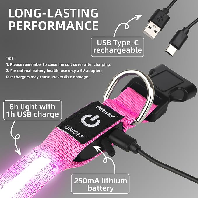 Super Bright LED Dog Collar - Fully Waterproof & Adjustable Glow Collar - USB-C Rechargeable for Night Walking, Safety - Flashing Lighted Collar for Dogs(Pink,S)
