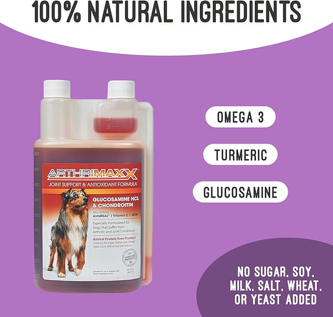 Dog Supplement for Joint Inflammation & Arthritis, Naturally Potent Dog Joint Care, Antioxidant Formula with MSM, Chondroitin, Vitamin C, & Glucosamine for Dogs, 32 fl oz