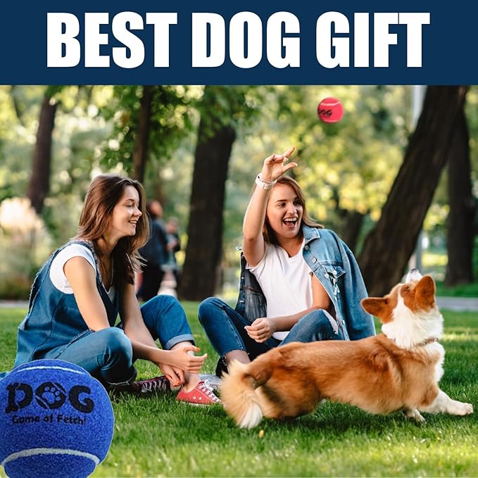 AMA SPORT Tennis Balls for Dogs 12 Pack 2.5" Multi Colors Dog Tennis Balls for Puppy Small Medium Dog Toys, Designed for Dogs Floating Water-Hunting Fetch Fun Playing Daily Exercise Mid-air Catching