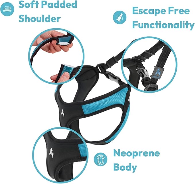 Gooby Escape Free Easy Fit Harness - Blue, Small - No Pull Step-in Patented Dog Harness with Quick Release Buckle for Small to Medium Dogs