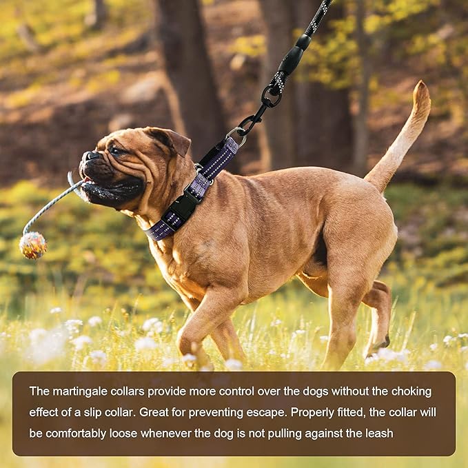 Hikiko Martingale Collar for Dogs Reflective Nylon Dog Collar with Quick Release Buckle Adjustable Training No Slip Dog Collar (Small, Purple)