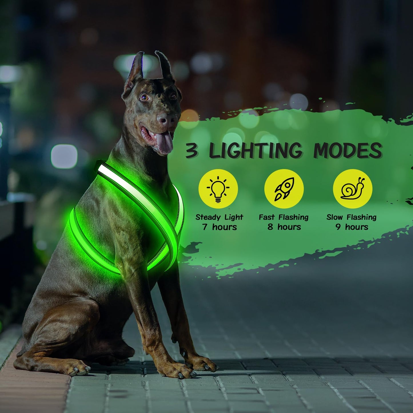 Light Up Dog Harness, Rechargeable LED Dog Harness, Glow in The Dark Dog Vest, Adjustable Pet Lights for Night Walking, Reflective Safety Vest for Medium Large Pet (Green, S)