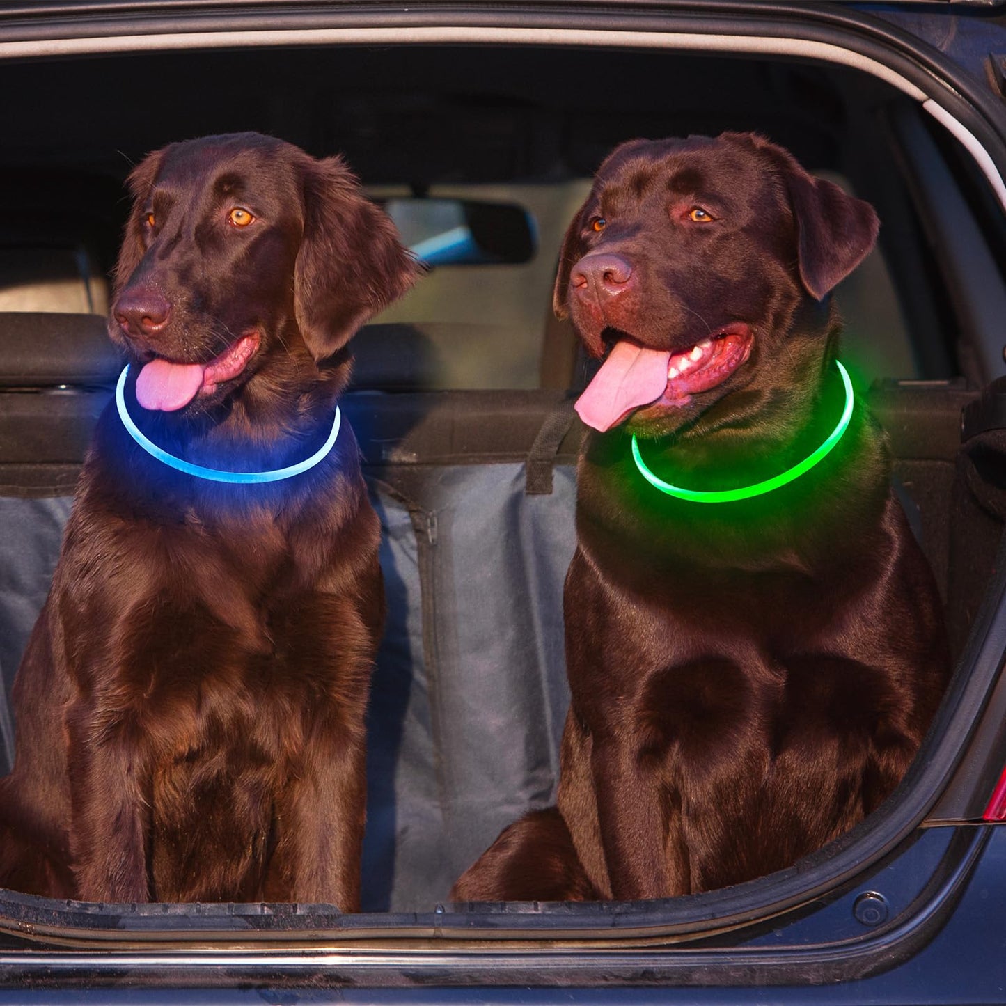 2 Packs Light Up Dog Collar, LED Dog Collar, USB Rechargeable Dog Lights for Night Walking, Adjustable Glow in The Dark Collars for Small Medium Large Dogs, Waterproof Safety Pets Lights Green&Blue