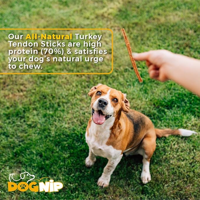 Gobble! 6-Inch Turkey Tendon Sticks for Dogs, Made in USA, 6 oz. (170g) Reseal Value Bags, All-Natural Hypoallergenic Dog Chew Treat |Sourced, Processed & Packaged in The USA | (22-25 Pieces)