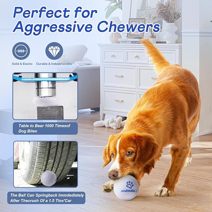 Durable Dog Chew Herding Balls - Indestructible Tennis Balls for Medium & Small Dogs -Teething Toys for Puppies -Interactive Bouncy Fetch Water Toys