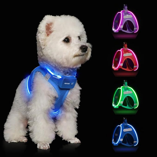 Light Up Dog Harness,Rechargeable LED Dog Harness for Small Medium Large Dogs,Reflective Lighted Safety Vest for Night Walking & Camping,Lightweight & Adjustable,Sky Blue,S