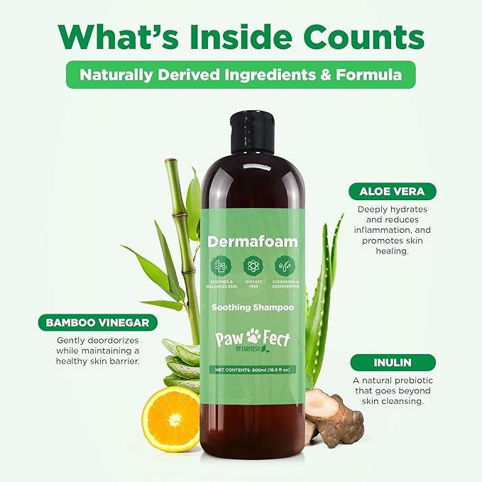 Dermafoam 16.9oz Chlorhexidine Shampoo for Allergies, Itching, Skin and Coat Supplement, Helps Shedding, Hot Spots, Paw Irritation, Rashes Deodorizing and Cleansing Dog Shampoo & Grooming Supplies