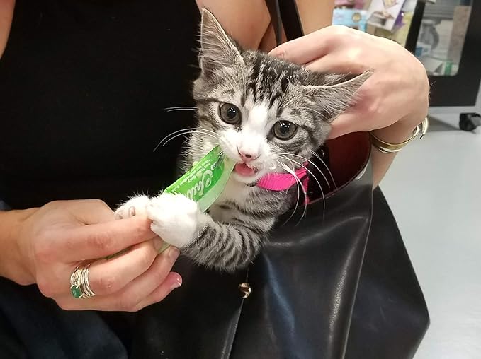 INABA Churu Cat Treats, Grain-Free, Lickable, Squeezable Creamy Purée Cat Treat/Topper with Vitamin E & Taurine, 0.5 Ounces Each Tube, 48 Tubes (4 per Pack), Chicken with Crab Recipe