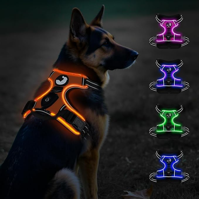 Taglory Light Up Dog Harness, Rechargeable No Pull Dog Vest with 3 Lightning Modes, Reflective Dog Harness with 2 Leash Clips & 4 Adjustable Slide Strips for Large Dogs, Orange-Orange, XL