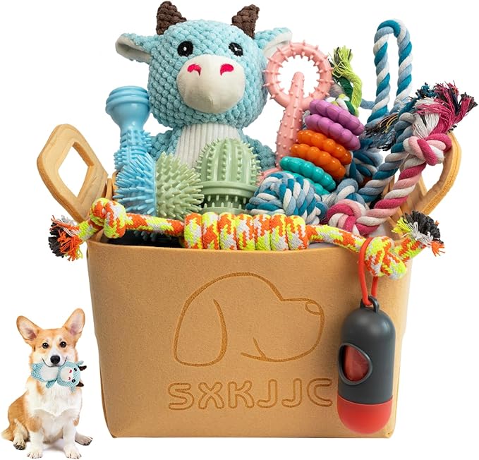 Dog Chew Toys for Teething,Boredom,Toothbrush,18 Pack Puppy Toys with Rope Toys, Balls and Squeaky Toys for Small/Medium Breeds