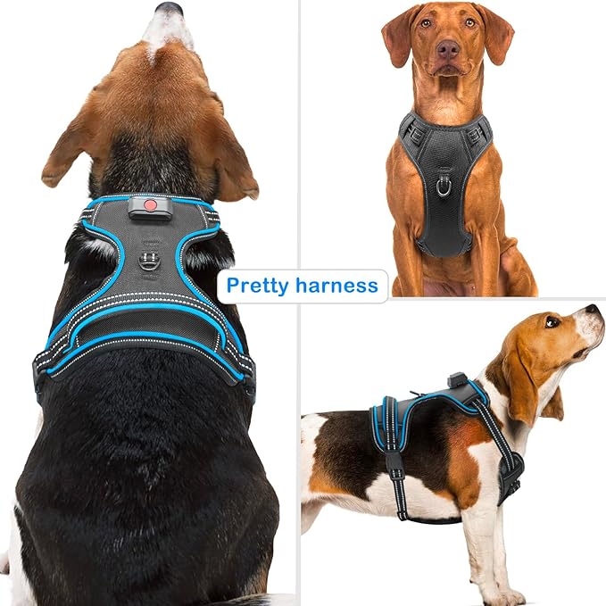 Rechargeable LED Dog Harness - No Pull, 4 Point Adjustable, Lighted Vest for Small/Medium/Large/X-Large Dogs