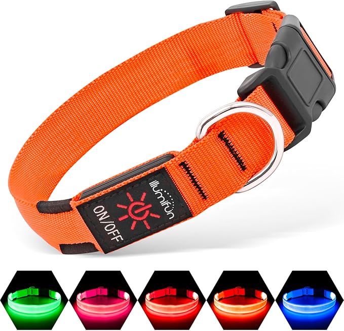 Illumifun Light Up Dog Collar, USB Rechargeable LED Dog Collar, Adjustable Lighted Safety Collar for Nighttime Walking Camping (Orange, Medium)