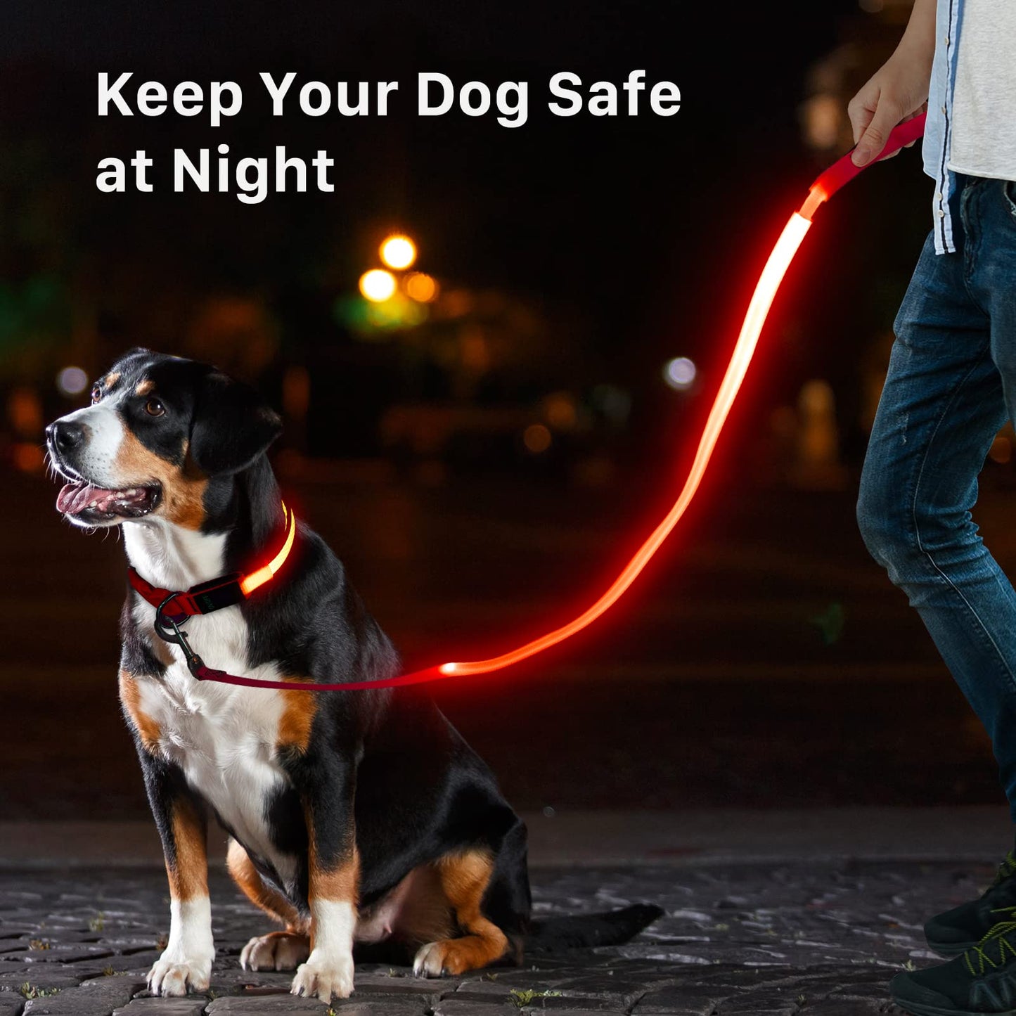 Kpuplol LED Light Up Dog Leash 3 Lighting Modes USB Rechargeable, High Visibility Up to 400 Yards Safety Glow in The Dark Dog Leash for Large Medium Small Pets