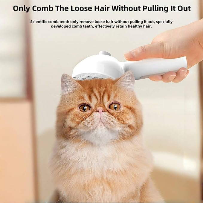 Cat Steam Brush for Indoor Cats - 3 in 1 Steam Brush for Cats with Mist Spray, Self Cleaning & Pet Hair Removal, Gentle Cat Grooming Tool for Shedding (Black)