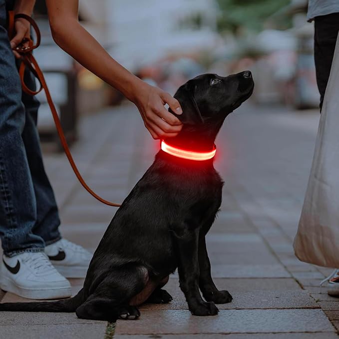 Illumifun LED Dog Collar - Adjustable Light Up Dog Collar - Safety Pet Collar Light Make Your Dogs Safe& Seen at Night (Red, Small)
