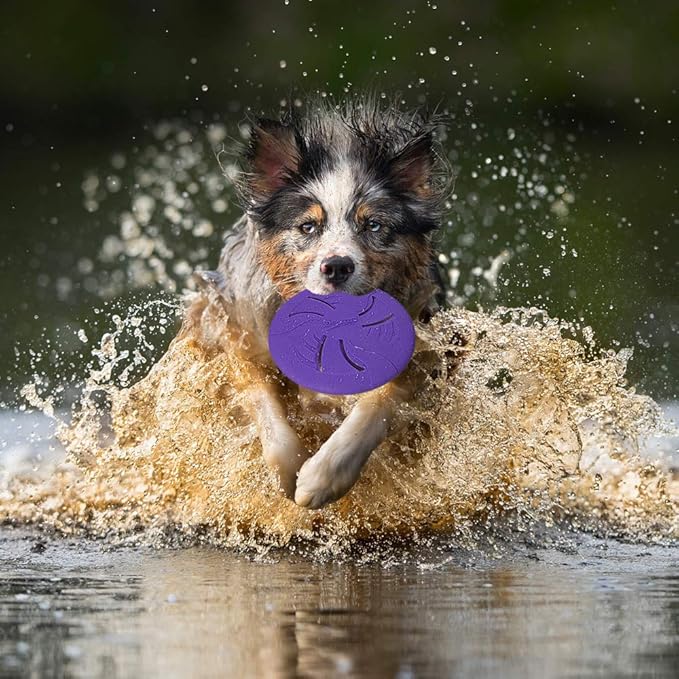 Indestructible Dog Discs, Interactive Catch & Fetch Toys for Small Dogs, Floats in Water & Safe on Teeth, 7.48 inch (Small, Purple)