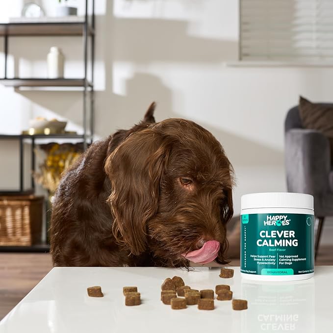 Clever Calming Chews for Dogs, 100% Natural Dog Supplement, For Anxiety Relief, Helps Stress, Fear, Hyperactivity, Reactivity, Beef Flavor Calming Dog Treats, Made in USA, 60 Soft Chews