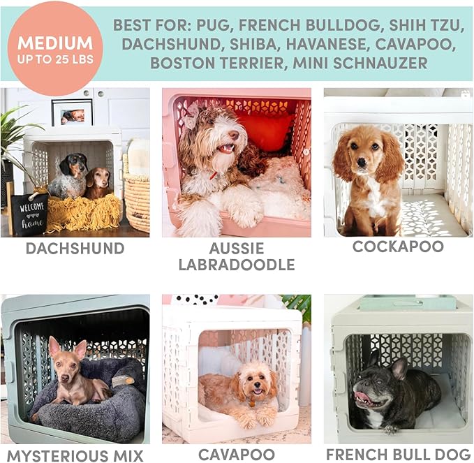 KindTail PAWD Collapsible Dog Crate with Washable Bed, for Pets Between 15 and 25 lbs, Such as French Bulldog, Maltese, Pomeranian, Portable Indoor Kennel, 26” L x 20” W x 21” H, 14 LB, Medium White