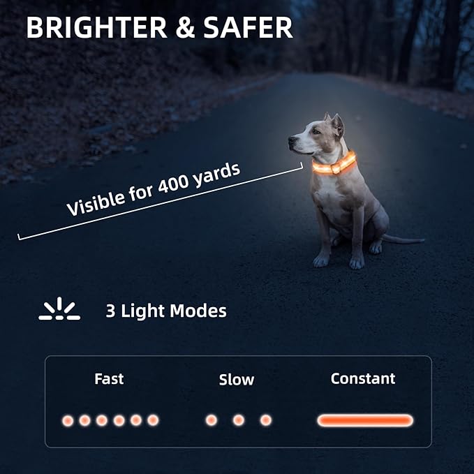 Super Bright LED Dog Collar - Fully Waterproof & Adjustable Glow Collar - USB-C Rechargeable for Night Walking, Safety - Flashing Lighted Collar for Dogs(Orange,M)